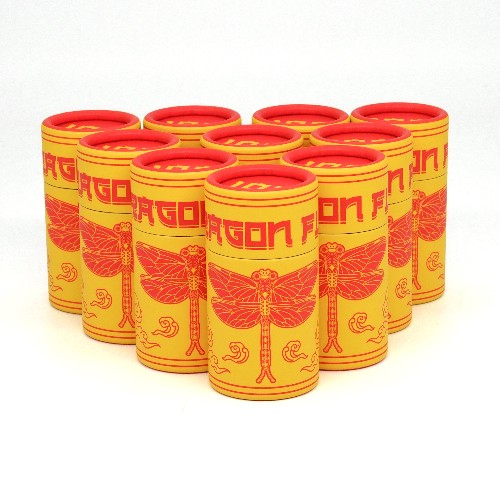 カラーネガフィルム　FILM NEVER DIE　DRAGON FLY100　36枚撮り　10本組